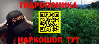 эйфоретик Тула