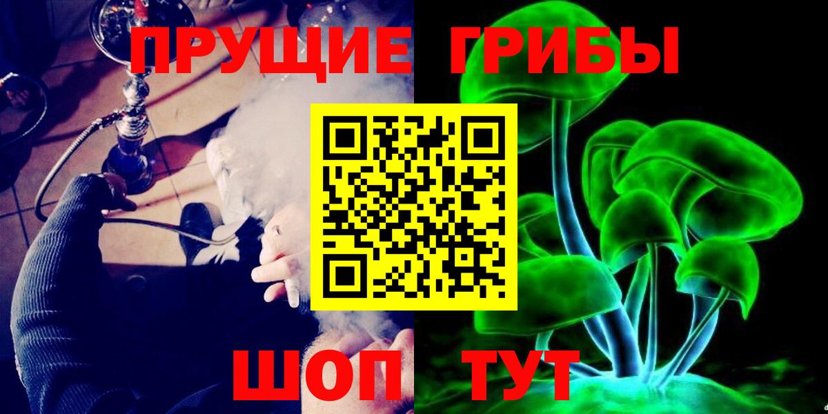 Псилоцибиновые грибы мицелий Гай